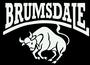 BRUMSDALE profile picture