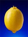lemon vibe profile picture