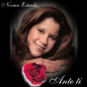 NORMA ESTRADA profile picture