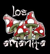 Los Amanita profile picture