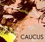 CAUCUS profile picture