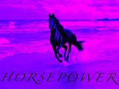 HORSEPOWER profile picture