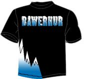 Bawerhur profile picture