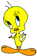 Tweety is in the house! profile picture