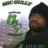 mic gully profile picture