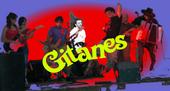 Gitanes profile picture