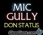 mic gully profile picture