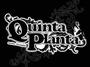 Quinta Planta (Nuevo Video) profile picture