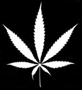 Weed!! If you smoke it join my friends list! profile picture