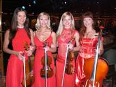 Dolce Vita String Quartet profile picture