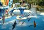 SeaWorld Adventure ParksÂ® profile picture