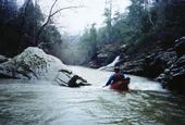 paddle the cahaba profile picture