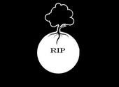 The Last Tree profile picture