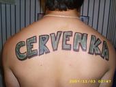 Cervenka (BDC Represent) profile picture