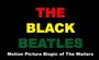 THE OFFICIAL BLACK BEATLES PROJECT profile picture