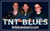 TNT BLUES BAND profile picture