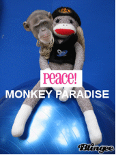 monkeyparadise