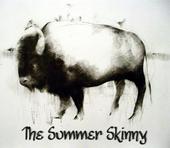 The Summer Skinny profile picture