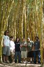 TRIBAL SEEDS profile picture