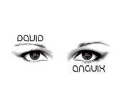 David Anguix profile picture