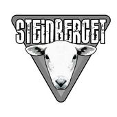 Steinberget profile picture