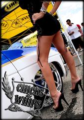 "CHICKS & WHIPS"CAR SHOW DVD profile picture