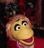 GARY GNU profile picture