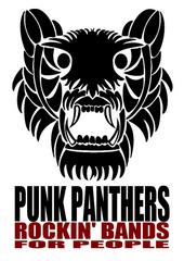 the punk panthers profile picture