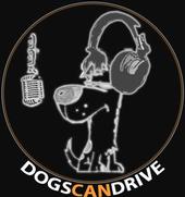 DogsCanDrive.com profile picture