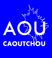 Caoutchou Recordings profile picture