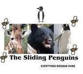 Sliding Penguins profile picture