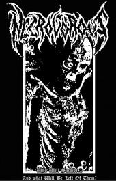 NECROVOROUS(split 10" out now!) profile picture