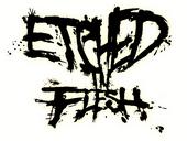 Etched In Flesh (2007-2009) profile picture