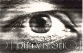 Dim Vision profile picture