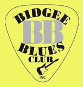 Bidgee Blues Club profile picture