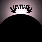 LEVITATE profile picture