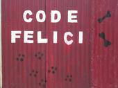 CODE FELICI SULMONA profile picture