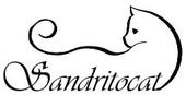 Sandritocat profile picture