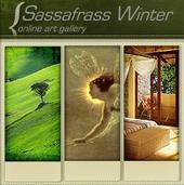 sassafrasswinter