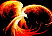 ~Rising Phoenix~ profile picture