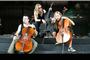 Apocalyptica Metal by Cellos profile picture