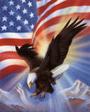 United States of America Patriotic Salute profile picture