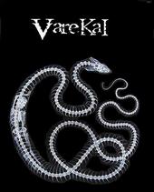 Varekai (UNDER CONSTRUCTION) profile picture