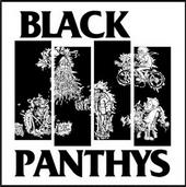 The Black Panthys Party profile picture