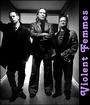 Violent Femmes and Horns of Dilemma profile picture