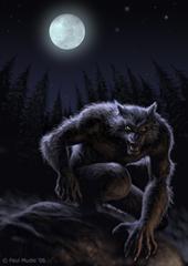 Wolf profile picture