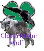 Clover Wolf profile picture