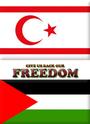 FREE NORTH CYPRUS!! profile picture