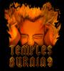 Temples Burning *New Songs Up* profile picture