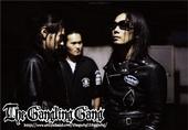 THE GANGLING GANG profile picture